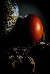 The 50-Images-Project ( 05/50 ): Egg on the Rocks