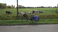 op de fiets naar froggelstein