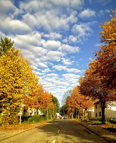 Autumn blue sky above my street