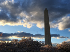 IMG 4172