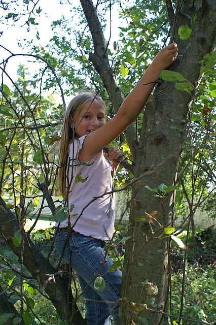 Tree Hugger