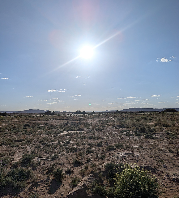 Rayons puissants sur végétation taouzienne