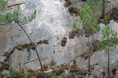 Ancienne carrière de grès