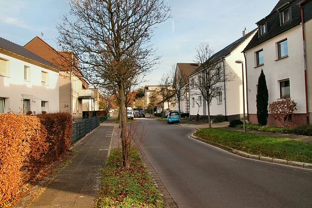 Borgsheider Weg (Marl-Sinsen) / 1.12.2018