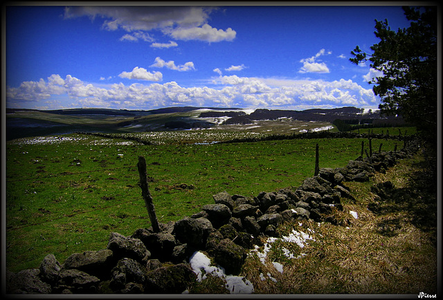 Paysage d'Aubrac - Aveyron