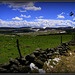 Paysage d'Aubrac - Aveyron