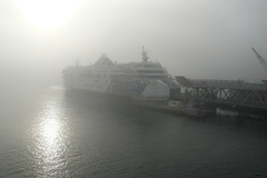BC Ferry At Swartz Bay In The Fog