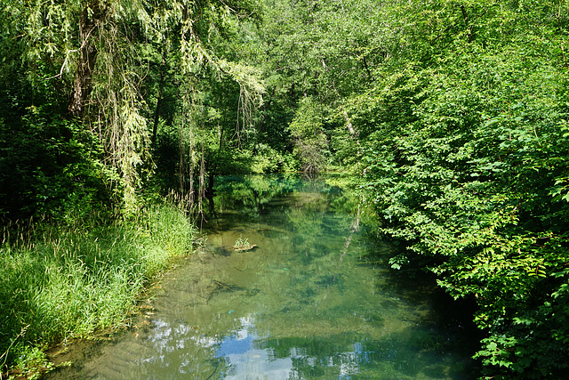 Der Ablauf