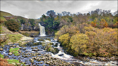 Thornton Force