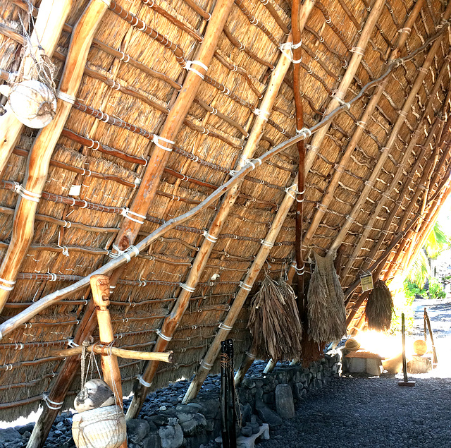 Roof of the shelter