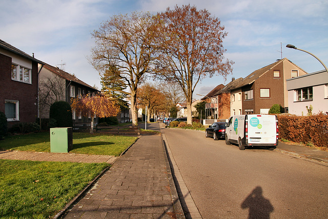 Wallstraße (Marl-Sinsen) / 1.12.2018