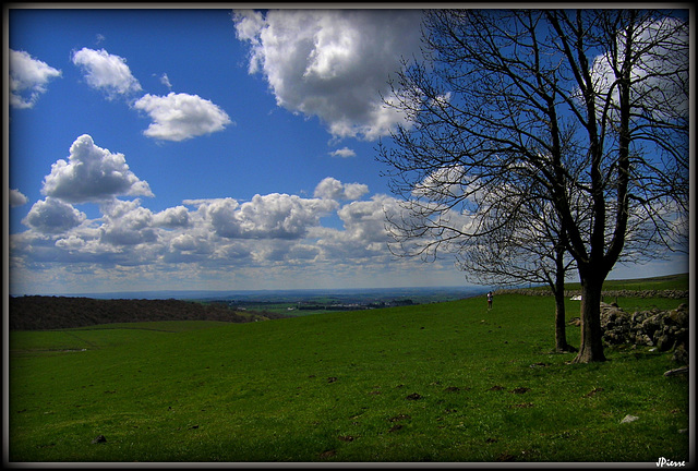 Paysage d'Aubrac - Aveyron