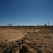 The Kimberley In The Dry Season