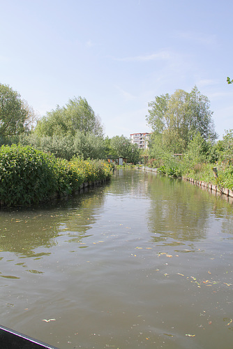 Amiens - Les hortillonages