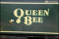 Queen Bee