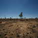 The Kimberley In The Dry Season