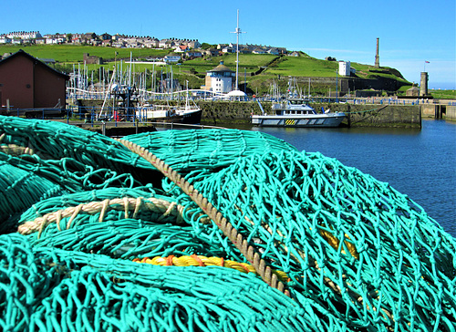 Rolling green...Whitehaven, Cumbria.