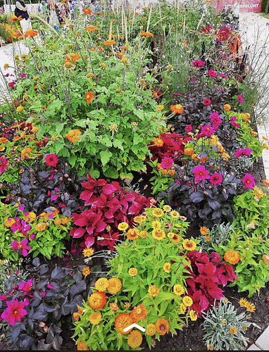 Prachtvolle Blumenbeete auf der BUGA in Erfurt