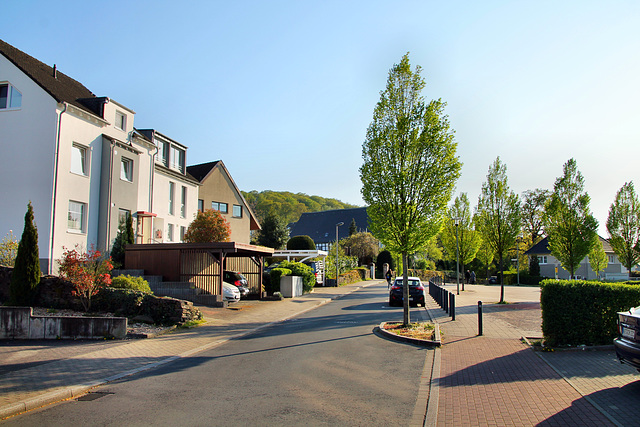 Dorfstraße (Hattingen-Holthausen) / 19.04.2020