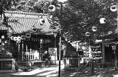 Morning sweeping at a shrine