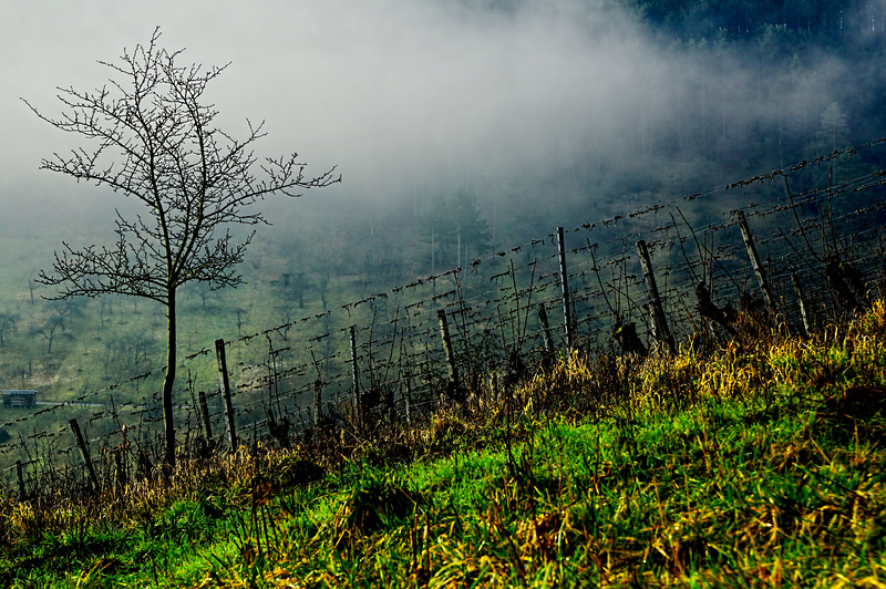 Ein Loch im Nebel - A hole in the fog