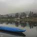 Am Rhein bei Schaffhausen ein Blick über den Rhein nach Langwiesen Kt Zürich