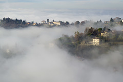 Nella nebbia