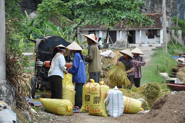 Vietnam 06 2011