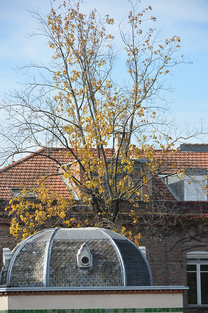 petit lanterneau rue de la colombette, Toulouse