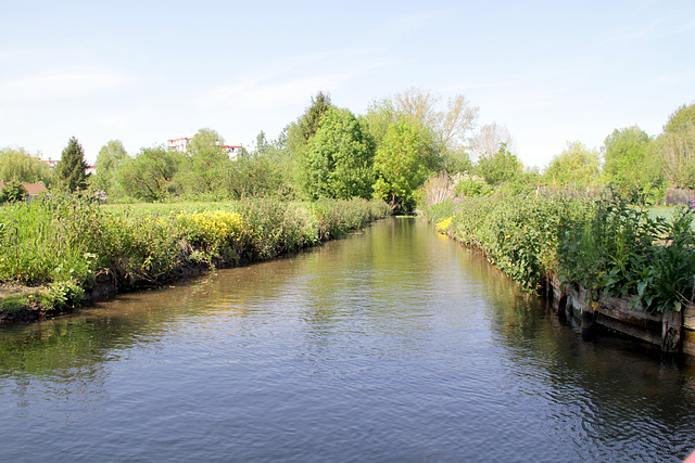 Amiens - Les hortillonages