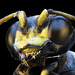 Parasitic Wasp Portrait