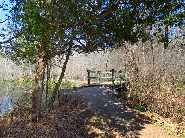 I have walked this bridge a hundred times or more.