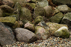 IMG 2232-FHD IMG 2232-FHD