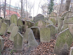 Cimetière juif de Prague, 5.