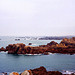 Guernsey (Scan from 1996)