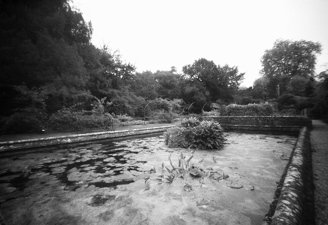 Audley End pond