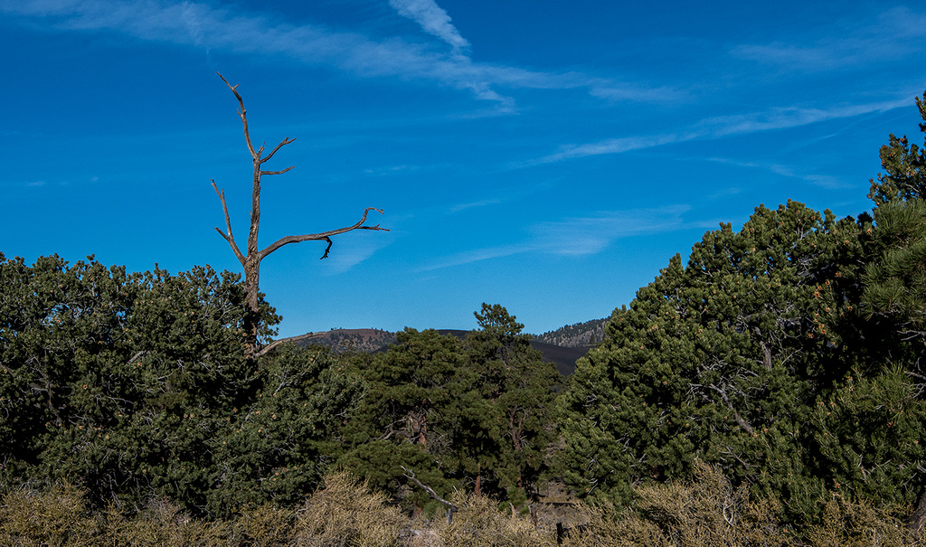 Sunset Volcanic Crater