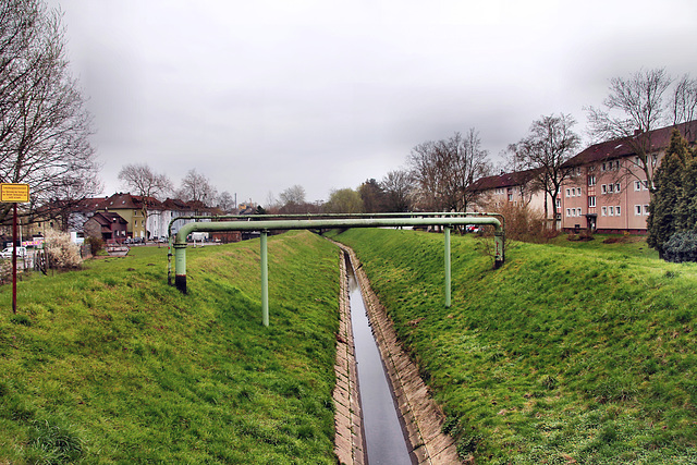 Der Schmiedesbach in Baukau (Herne) / 8.04.2023