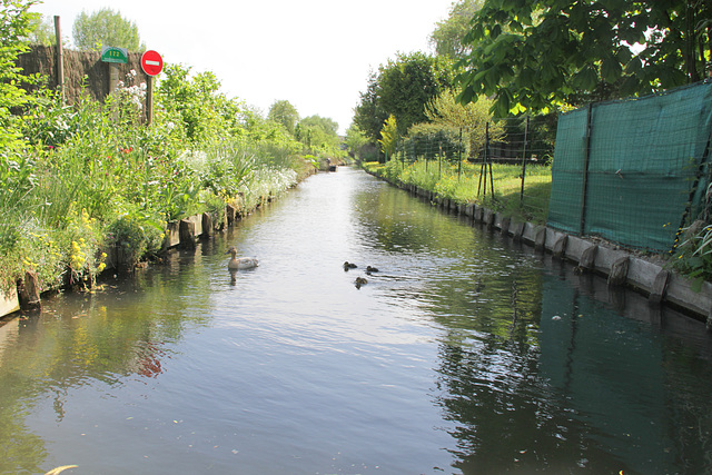 Amiens - Les hortillonages