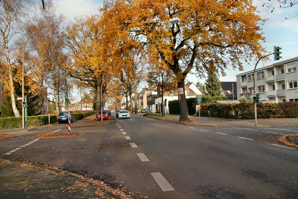 Halterner Straße (Marl-Sinsen) / 1.12.2018