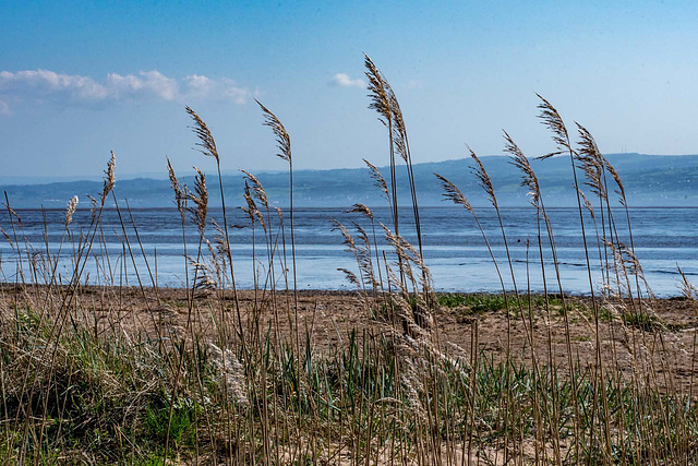 Thurstaston beach4