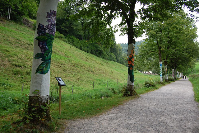 BÖ0018807 BÖ0018807