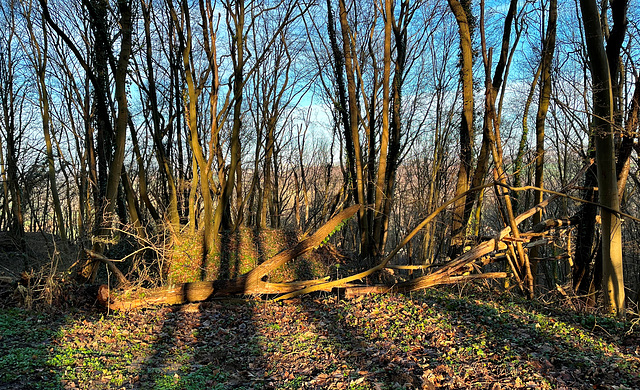 Licht und Schatten