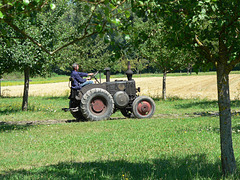 Dieselross Dieselross