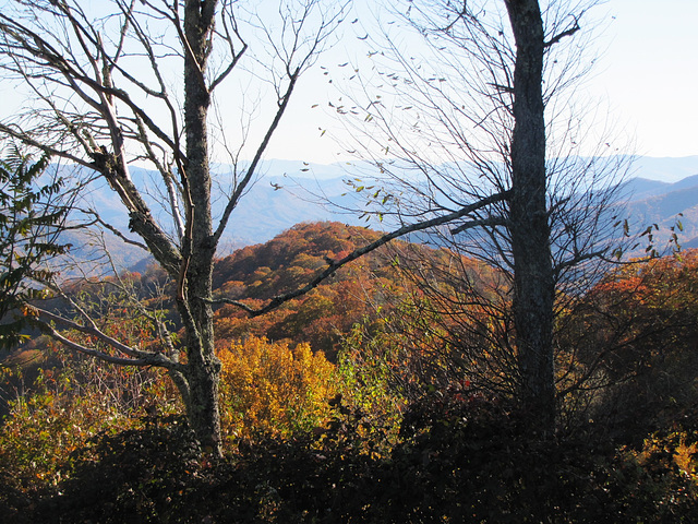 In Awe of this Place.. near Gatlinburg, Tennessee, USA