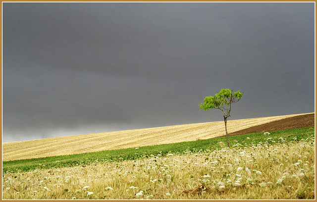 ... en attendant que l'été revienne...!