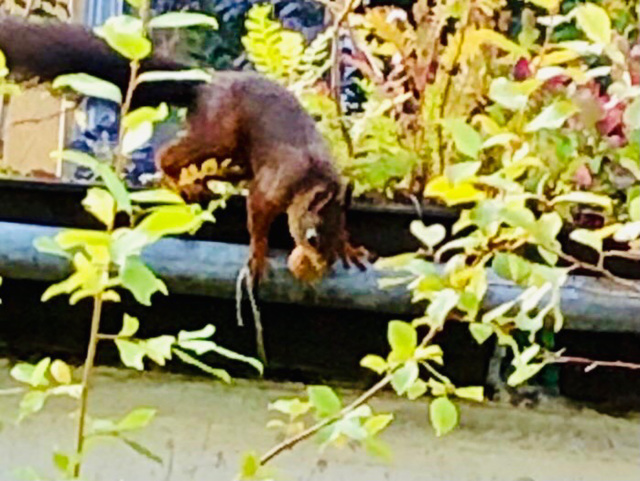 Besuch beim Frühstück