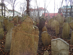 Cimetière juif de Prague, 7.