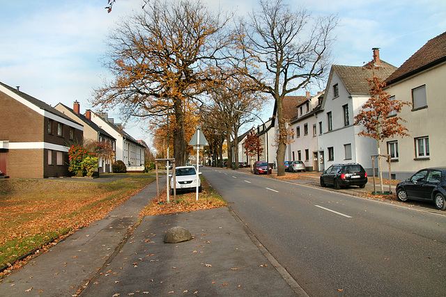 Halterner Straße (Marl-Sinsen) / 1.12.2018