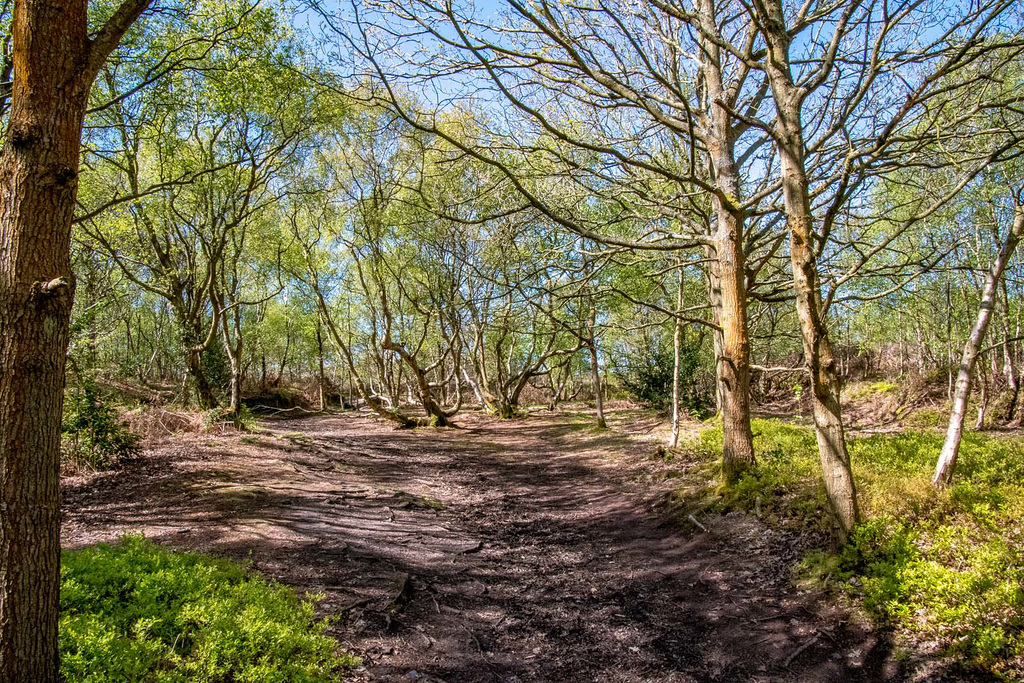 Thurstaston common2